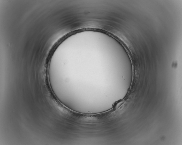 X0000096381119200802071507