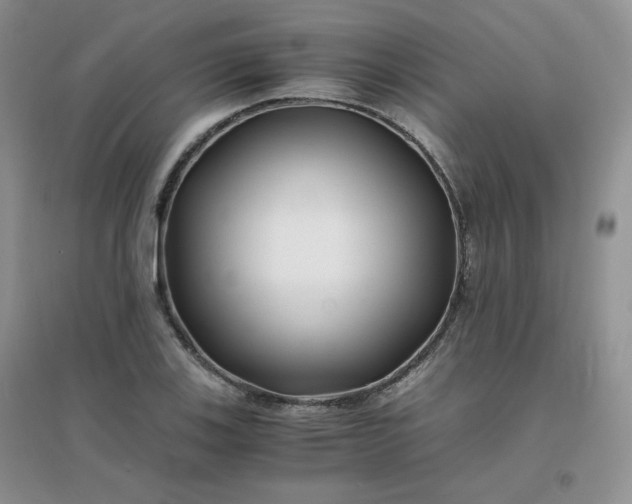 X0000096381123200802071507