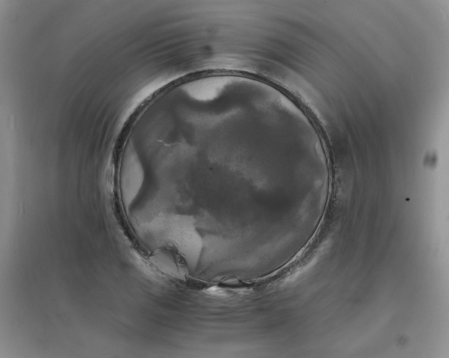 X0000096381125200802071507