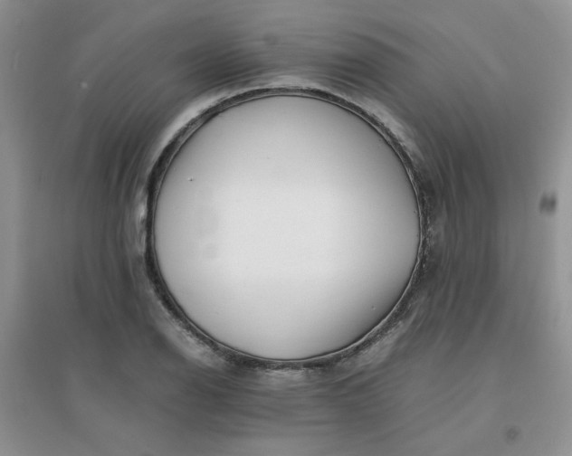 X0000096381126200802071507