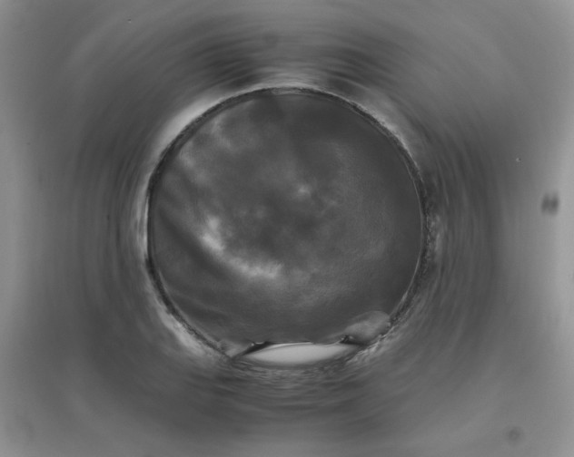 X0000096381127200802071507