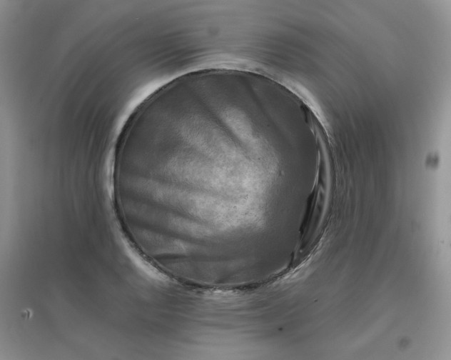 X0000096381128200802071507