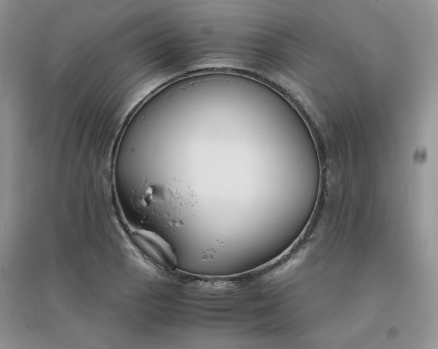 X0000096381129200802071507