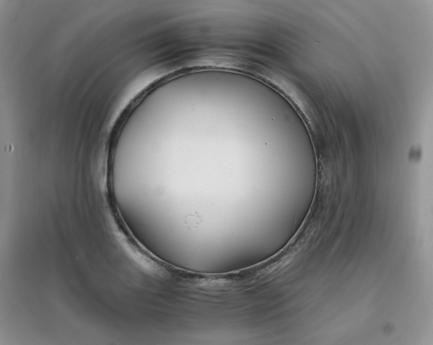 X0000096381131200802071507