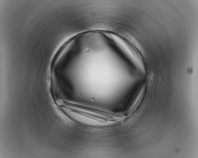 X0000096381132200802071507