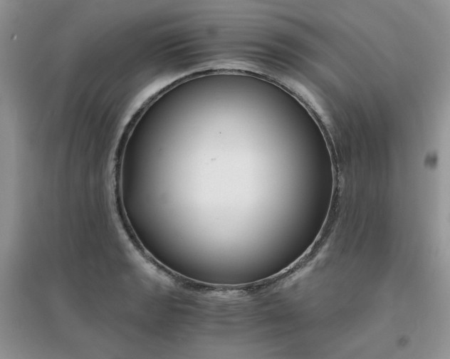 X0000096381133200802071507