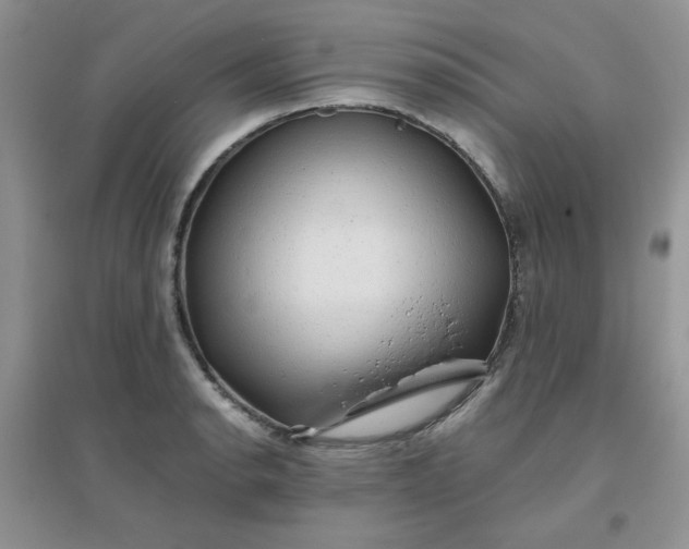 X0000096381134200802071507