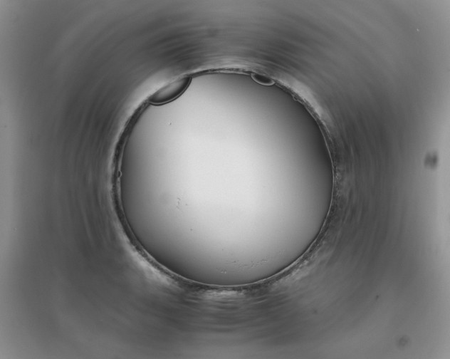 X0000096381135200802071507