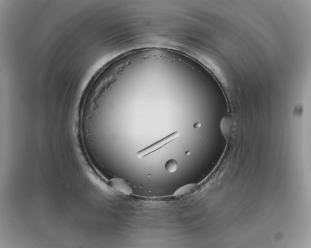 X0000096381136200802071507