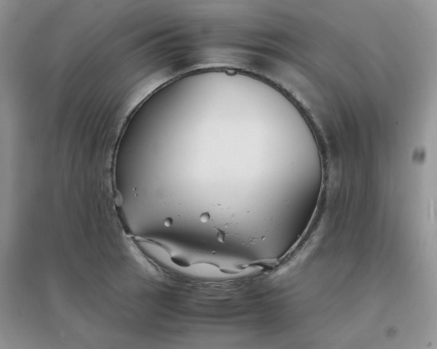 X0000096381137200802071507