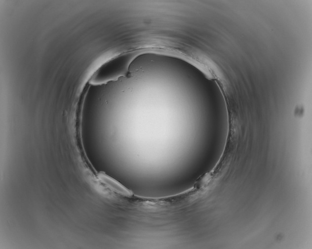 X0000096381138200802071507