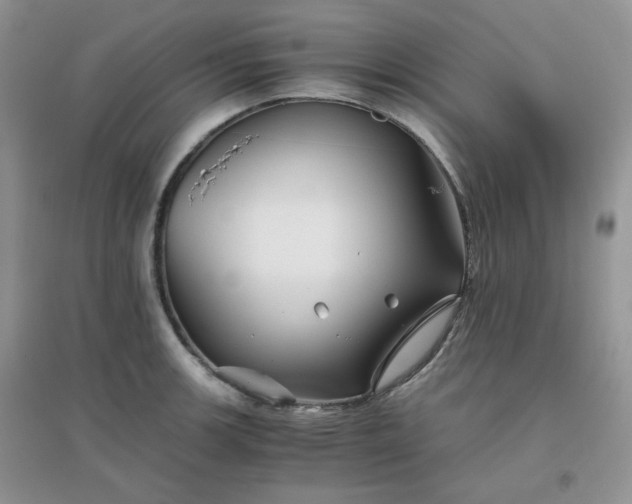 X0000096381139200802071507