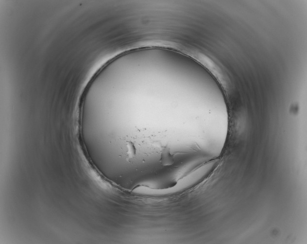 X0000096381140200802071507