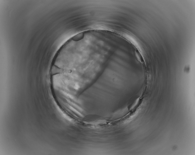 X0000096381141200802071507