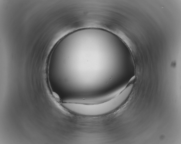 X0000096381142200802071507