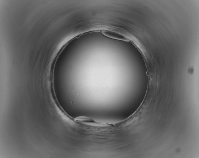 X0000096381143200802071507