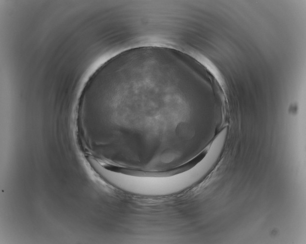 X0000096381144200802071507