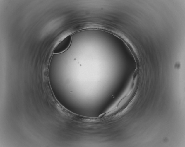 X0000096381145200802071507