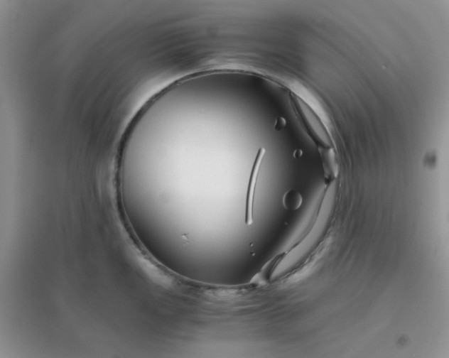 X0000096381149200802071508