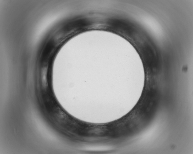 X0000096381150200802071508