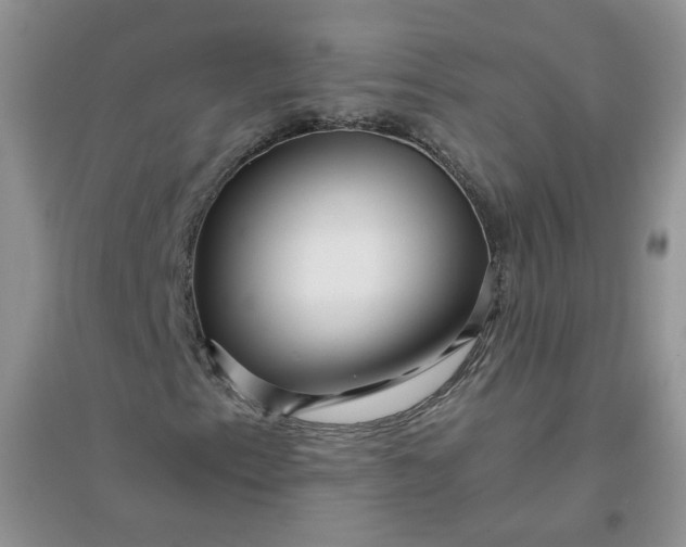 X0000096381153200802071507