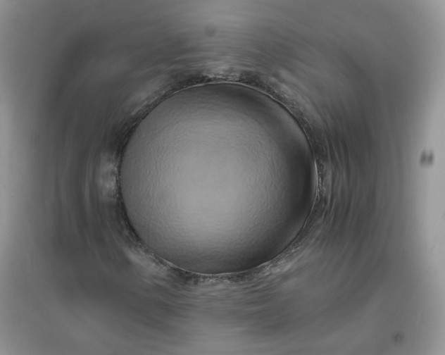 X0000096381154200802071507