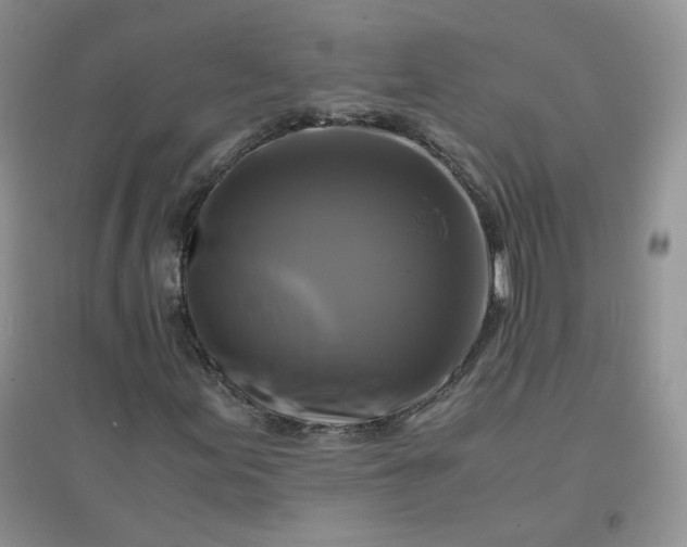 X0000096381155200802071507