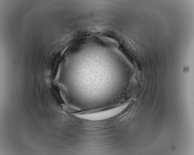 X0000096381156200802071507