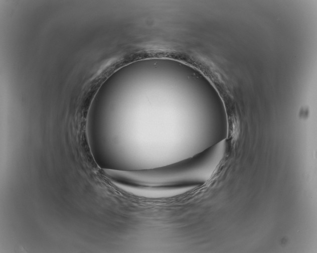 X0000096381157200802071507