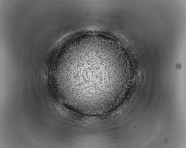 X0000096381158200802071507