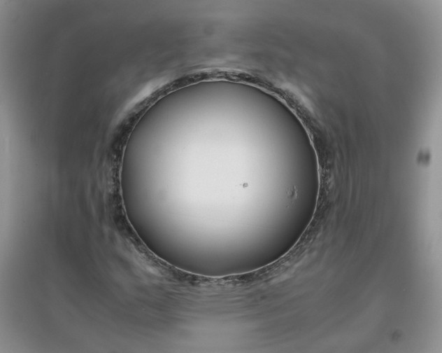 X0000096381159200802071507