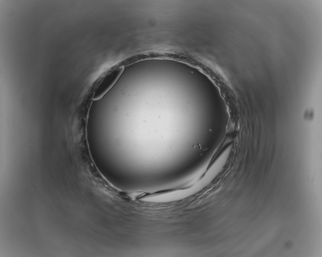 X0000096381160200802071507