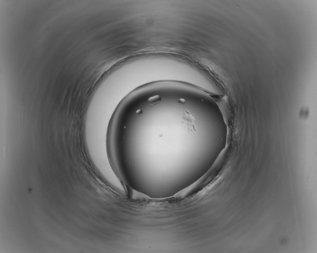 X0000096381161200802071507