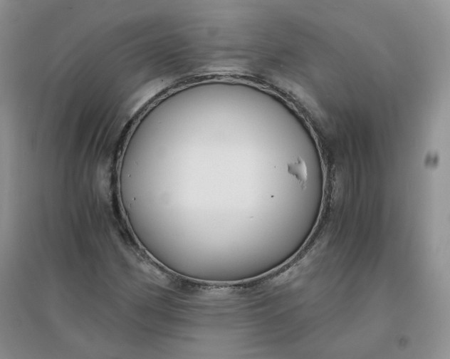 X0000096381162200802071507