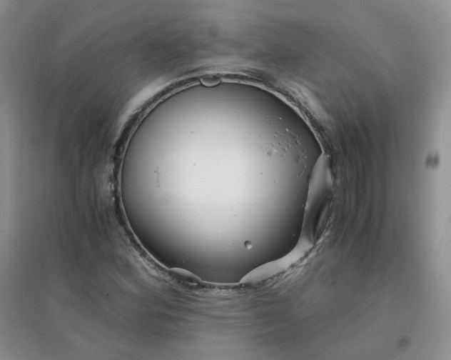 X0000096381164200802071507