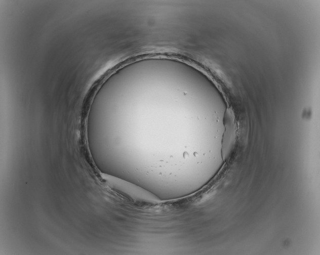 X0000096381165200802071507