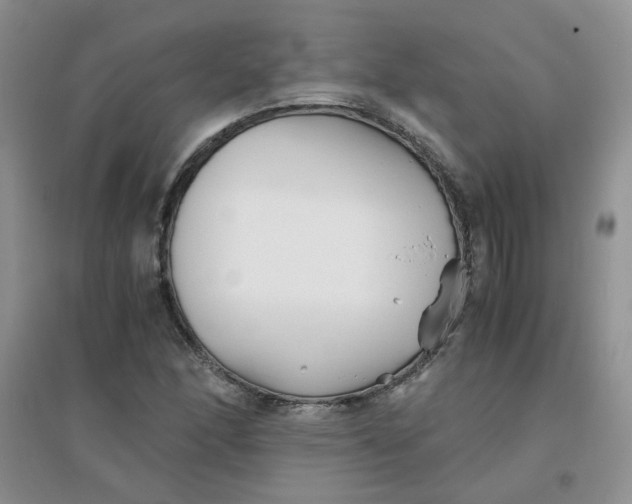 X0000096381166200802071507