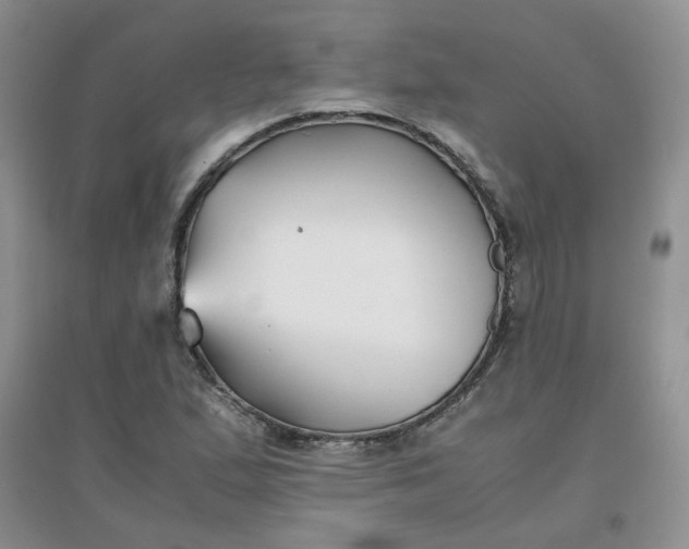 X0000096381167200802071507