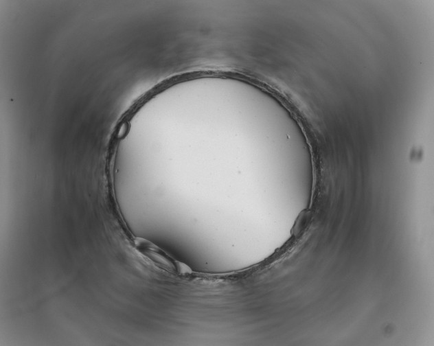 X0000096381168200802071507