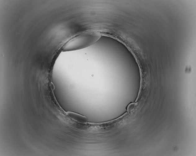 X0000096381169200802071507