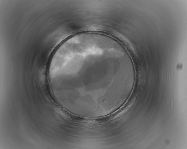 X0000096381170200802071507