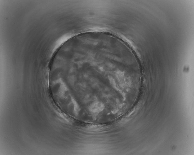 X0000096381171200802071507