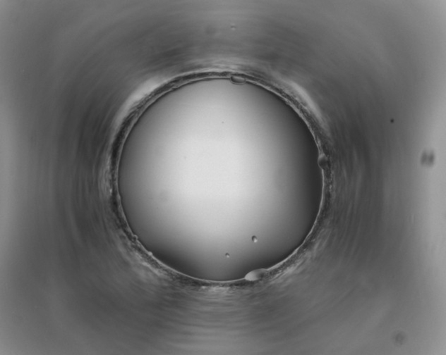 X0000096381172200802071506