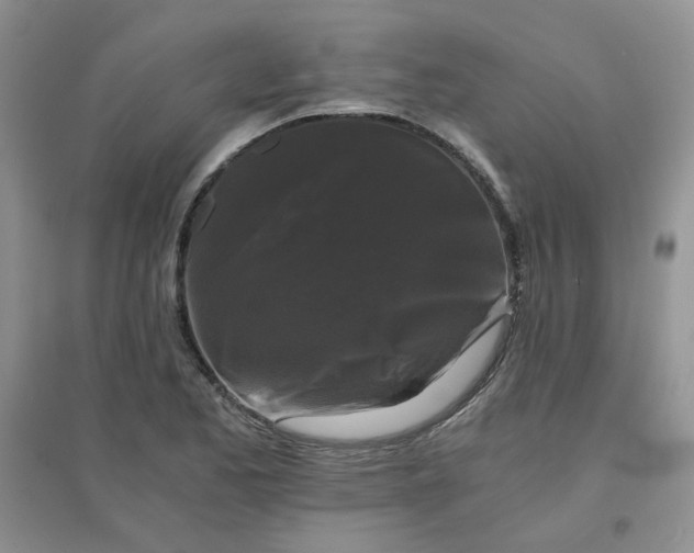 X0000096381173200802071506