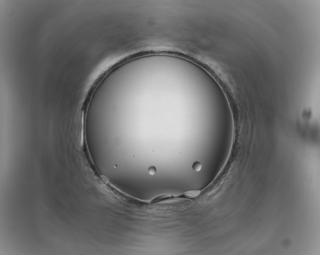 X0000096381175200802071506