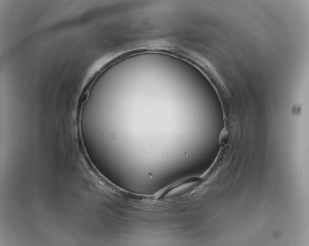 X0000096381176200802071506