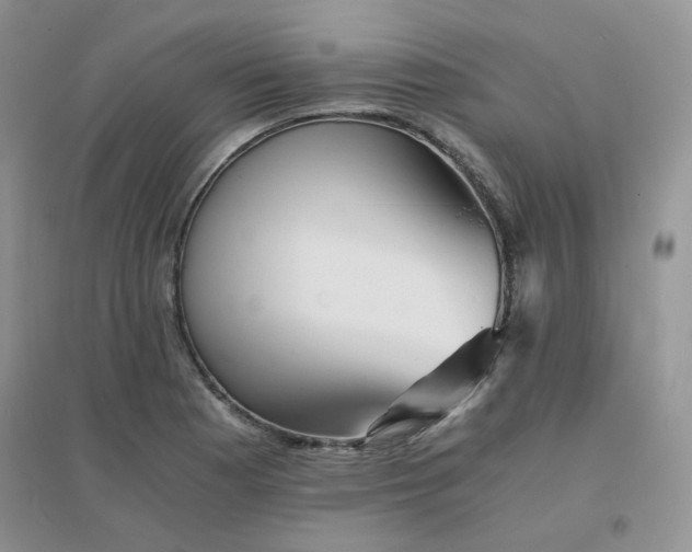 X0000096381177200802071506