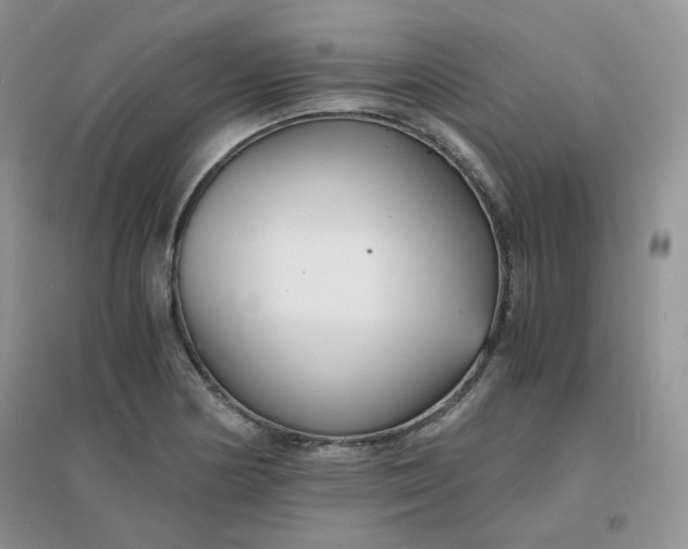 X0000096381178200802071506