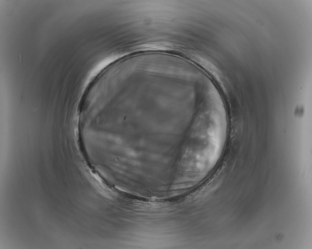 X0000096381179200802071506