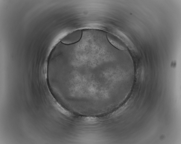 X0000096381180200802071506